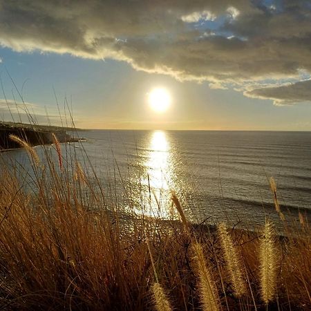 푼타델히달고 Un Paraiso En Tenerife 빌라 외부 사진