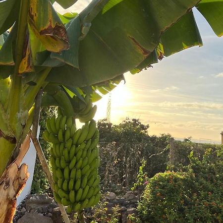 푼타델히달고 Un Paraiso En Tenerife 빌라 외부 사진