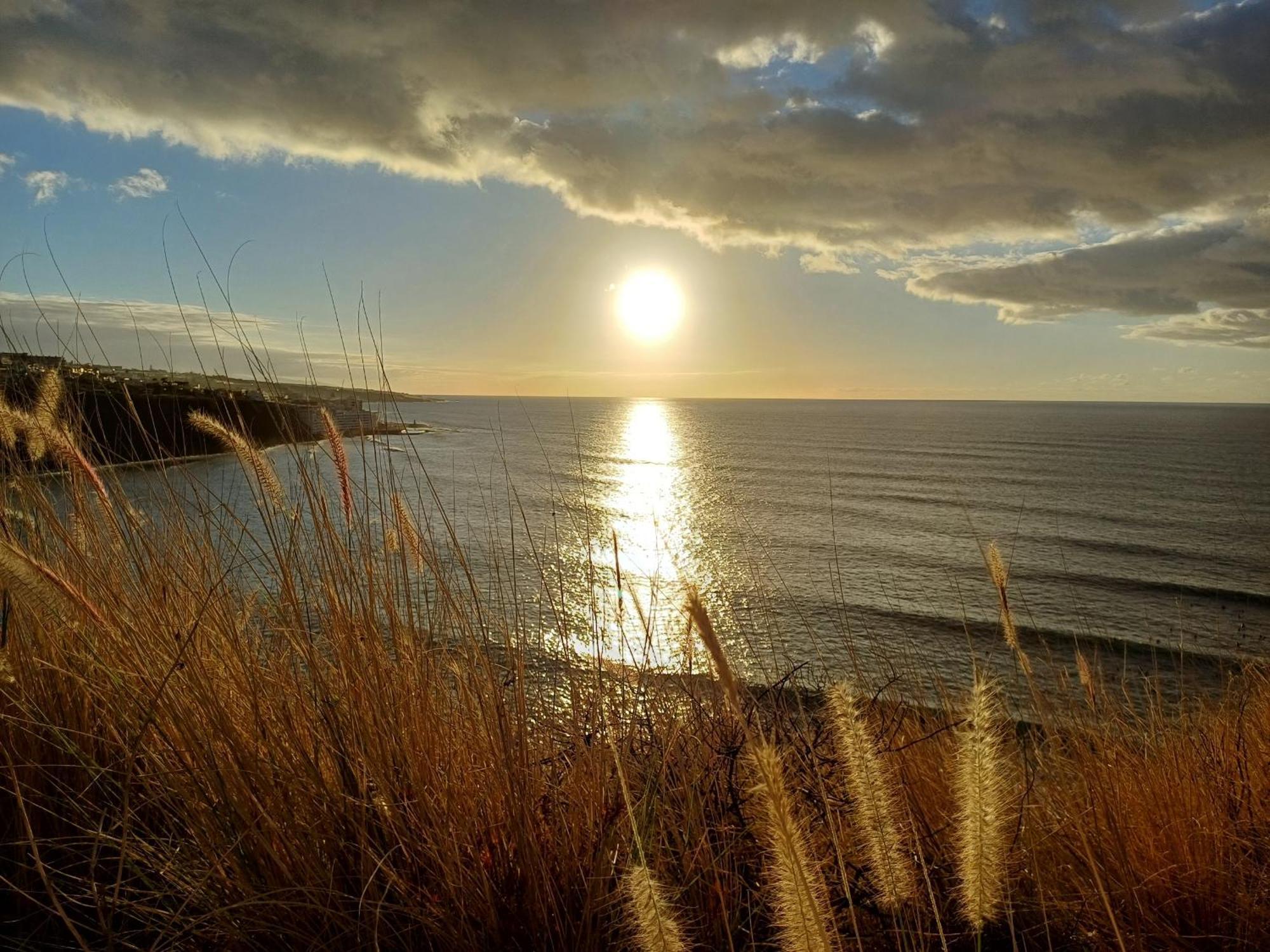 푼타델히달고 Un Paraiso En Tenerife 빌라 외부 사진